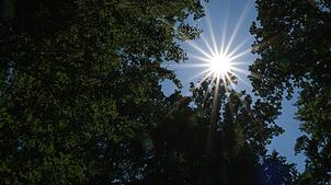 Die Aussichten versprechen einen sommerlichen Samstag. (Symbolbild)