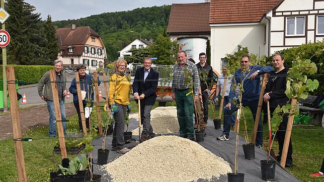 In Herten entsteht dank der Markt-Aktion ein kleiner Weinberg mit typischer Vegetation.