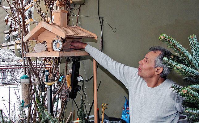 Dieses schicke Vogelhaus gefällt einem Vogel so gut, dass er hier nicht nur seine Mahlzeiten einnimmt, sondern auch darin übernachtet.
