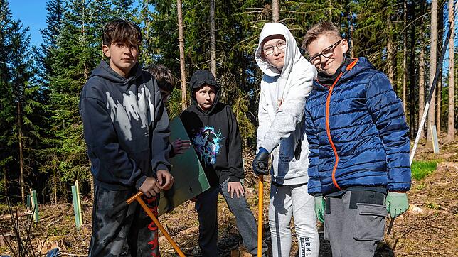 Auf einer Freifläche beim Bonndorfer Flowtrail pflanzten die Schüler der Naturparkschule unter Anleitung der Förster Steffen Wolf und ...