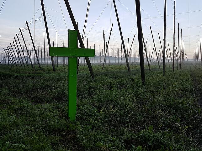 Die Stimmung bei vielen Landwirten ist düster, so wie auf diesem Hopfenfeld bei Tettnang. Überall am Straßenrand haben Bauern aus der ...
