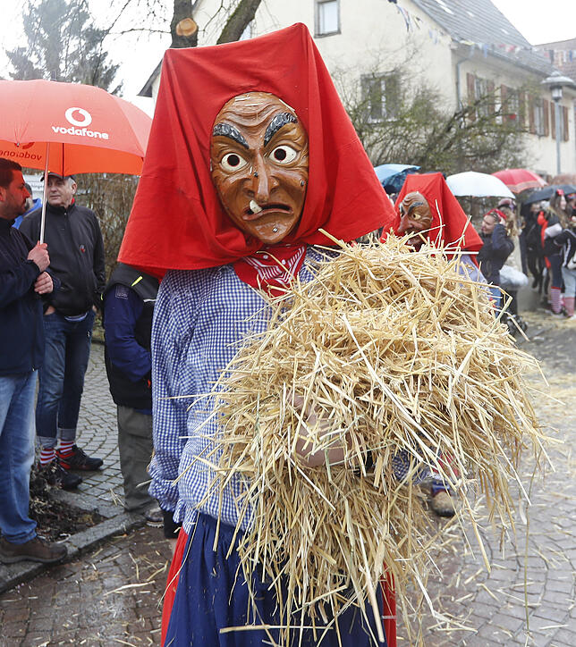 Bild 26: Bilder zum großen Narrentreffen in Pfohren (1)