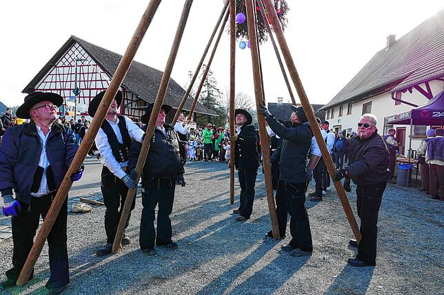 Bild 6: In Wittenhofen, Roggenbeuren und Limpach wird der Narrenbaum aufgestellt – Teil 1!
