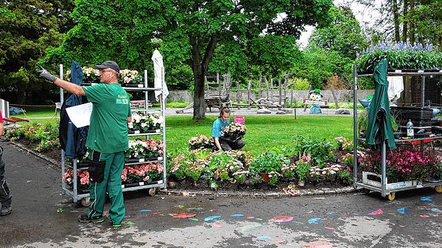 Bernhard Halmer (links) zieht den Plan zurate, um die Pflanzen im Villengarten richtig zu platzieren. Praktikantin Celine Marie Aßheuer ...