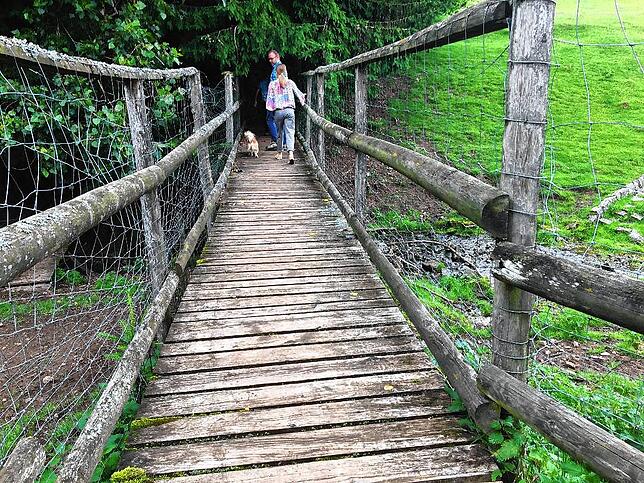 Über die Holzbrücke und durch das Wildgehege führt der Weg direkt zum Kugelwaldpfad.