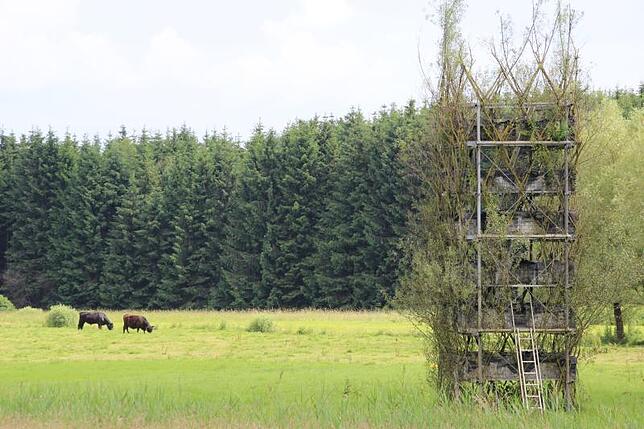 Auch Baubotanik ist im Werkpark Neue Kunst am Ried zu sehen.