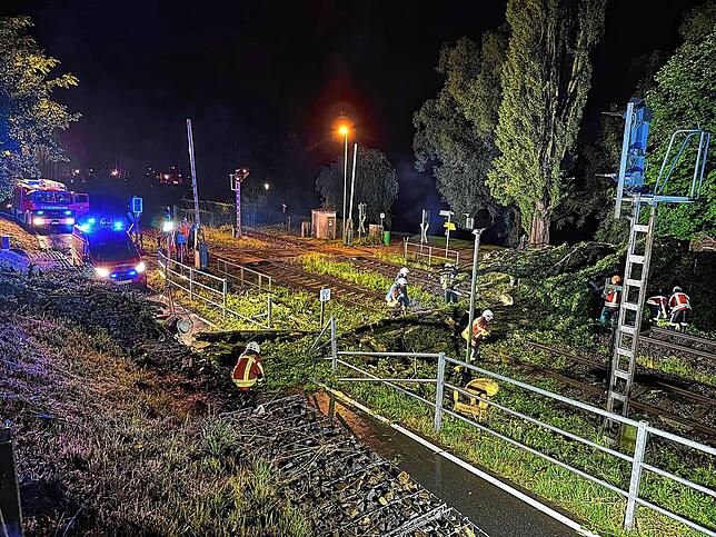 Eine Pappel ist am Waschplatz in Ludwigshafen über die Bahngleise gestürzt.