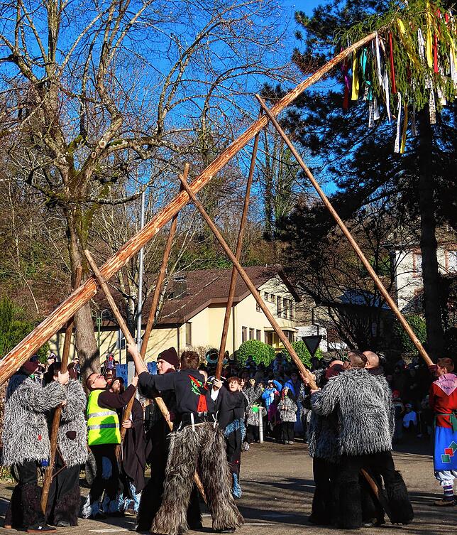 Männer aus allen Öflinger Zünften und Cliquen stellen gemeinsam den Narrenbaum auf dem Schulplatz.