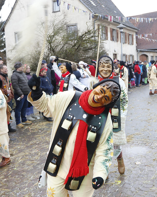 Bild 33: Bilder zum großen Narrentreffen in Pfohren (4)