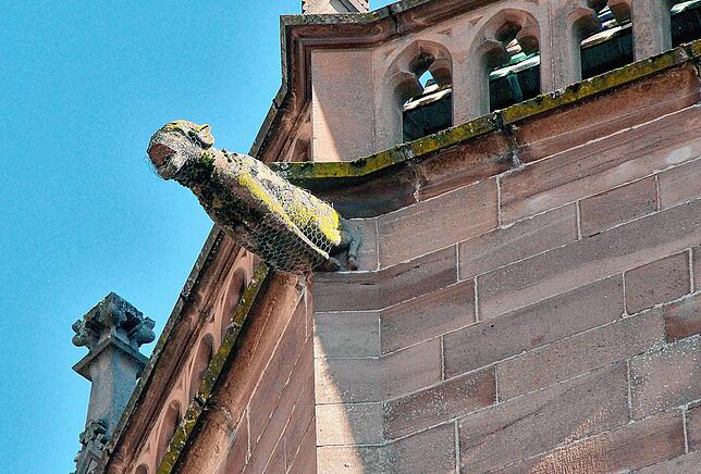 Wegen Witterungsschäden wurden einige Wasserspeier-Figuren am Münster 2020 mit Netzen gesichert. Auch eine Säule oben am Turm wurde so ...