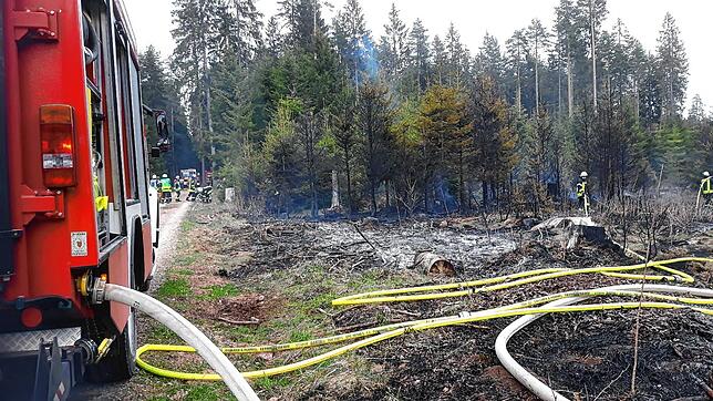 Fast auf den Tag genau vor einem Jahr brannte der Wald bei Hubertshofen. Vom Feuer betroffen war ein Fläche von 500 bis 700 Quadratmeter.