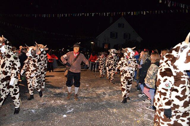 Bild 24: Großes Narrentreffen in Volkertshausen: Alle Bilder vom Nachtumzug (2)