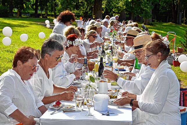 Bild 19: Französisches Picknick ganz in Weiß im Donaueschinger Schlosspark