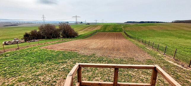 Blick vom Kletterturm über das Feld, wo die Familie Limberger vorerst Kartoffeln und Zwiebeln anbauen möchte. In regelmäßigen Abständen ...