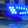 Ein Blaulicht der Polizei leuchtet auf (Symbolbild)