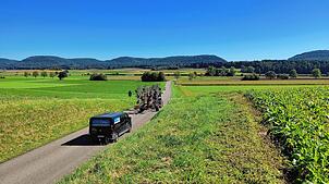 Entlang der K6569 in Rechberg entsteht ein Radweg.