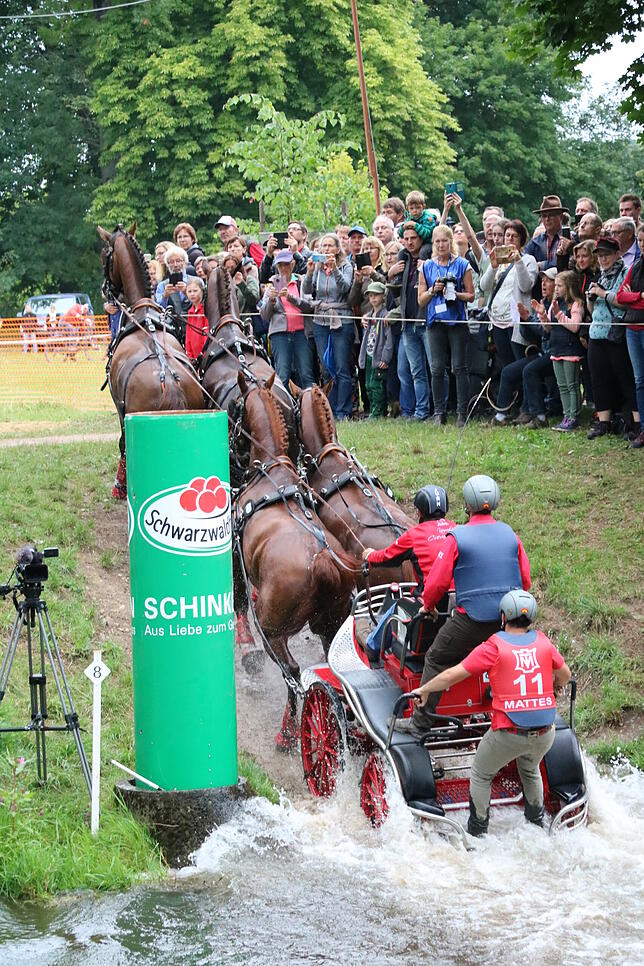 Bild 9: Bilder vom Marathon der Vierspänner beim Reitturnier in Donaueschingen