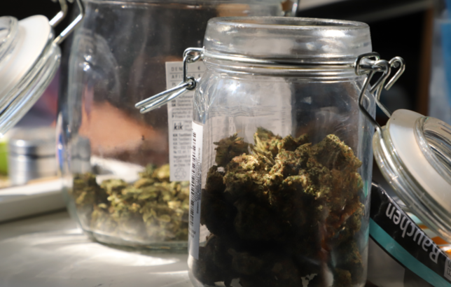 100 Gramm Cannabis bestellt die Dealerin im Monat.