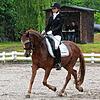 Super Ergebnis: Clara Brobeil (hier auf &bdquo;Danaris&ldquo;) und &bdquo;Dr. House&ldquo; holten sich bei der Zweitsterne-M-Dressur in ...