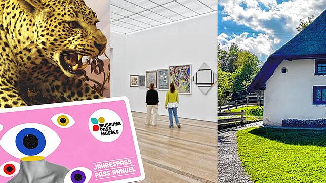 Mit Ausstellungen, Veranstaltungen und speziellen Aktionstagen, den „MPM“-Days, feiert der Museums-Pass-Musées ein Jahr lang sein ...
