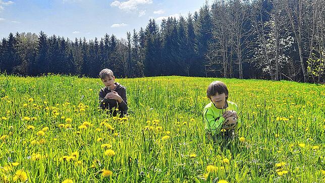 Der zehnjährige Illia und sein siebenjähriger Bruder Tymur verbrachten zwei friedliche Jahre im wunderschönen Großschönach. Und ihrer ...
