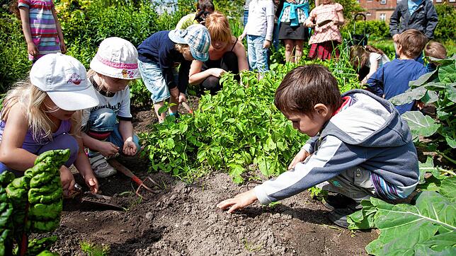 Eine Kindergartengruppe erhält eine Lehrstunde in Sachen Gärtnern. Das urban Gardening ist seit einigen Jahren zu einer regelrechten ...