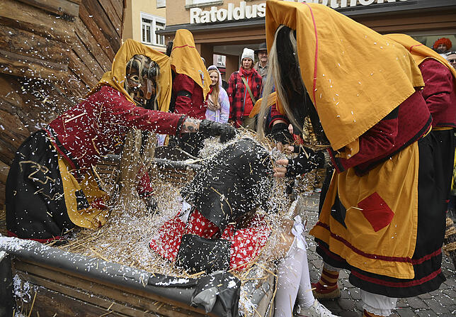 Bild 14: Bilder vom Radolfzeller Fastnachtsumzug