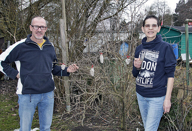 Ralf und Ellen Claaßen stehen in ihrem Garten vor ihrem Holunder. Heimische Bäume und Sträucher habe für die Natur hier einen größeren ...