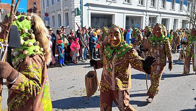 Bild 19: Fasnet 2025: Die besten Bilder vom Umzug in Hüfingen