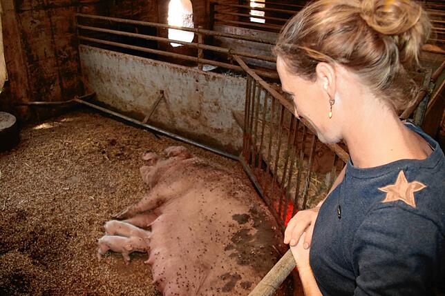 Katharina Bogenschütz schaut, ob es den kleinen Ferkeln gut geht. Hochschwanger musste die Mutter aus ihrem Stall evakuiert werden.