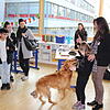 Während des "Tags der offenen Tür" im Bildungszentrum Buch begeisterte Schulhund "Blue" die Besucher. Schülerin Arbana und Rektorin ...