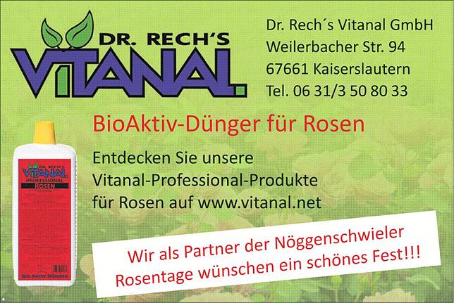 Bild 4: 53.Nöggenschwieler Rosentage: Fest im Zeichen der Rose
