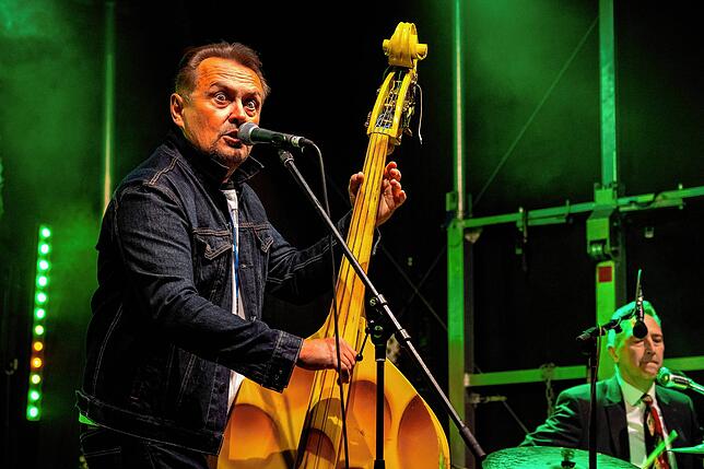 Bild 3: The Buffalo Chips beim Schwenninger Kürbisfest
