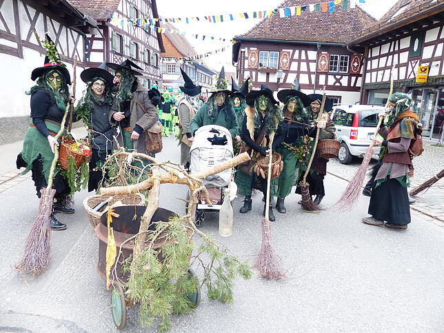 Bild 24: Bilder vom Umzug in Bermatingen