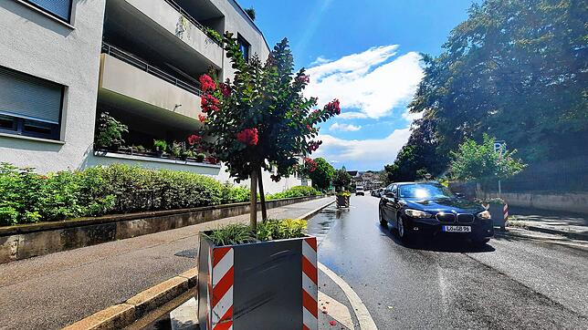 Tagsüber halten sich Fahrer weitgehend an Tempo 30 auf der Rheinbrückstraße, aber nachts heulen die Motoren. Bild: Erika Bader