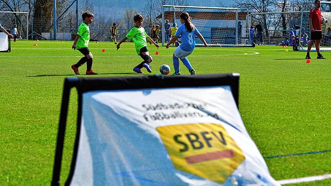 Neue Wege: Der Deutsche Fußballbund und seine Landesverbände reformieren seit geraumer Zeit den Kinderfußball in Deutschland.