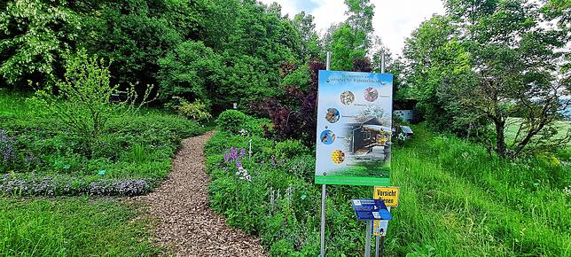 Rund um den Lehrbienenstand in Baitenhausen (im Hintergrund ist das Vereinsgebäude zu sehen) wurde ein Blühgarten mit Kräutern angelegt. ...
