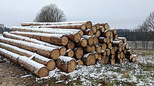 Ende des Jahres werden Leibertingens Revierförster Christoph Möhrle und seine Mitarbeiter wohl 7000 Festmeter Holz aus dem Gemeindewald ...
