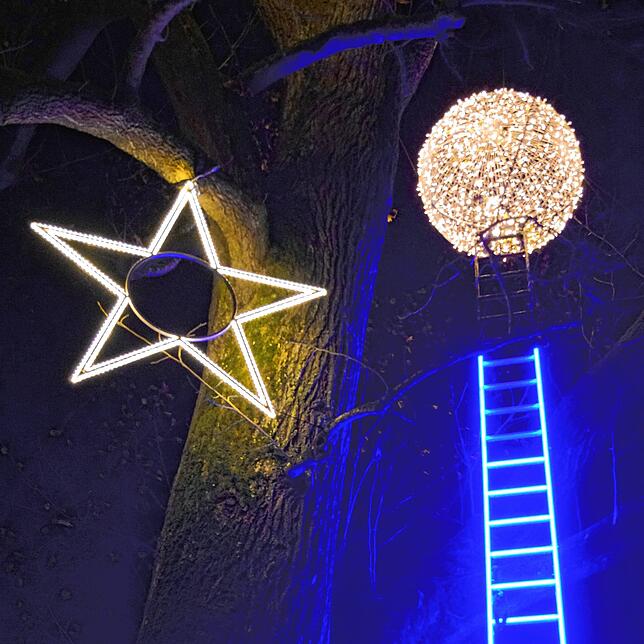 Bild 5: Lichter tanzen auf der Mainau: So haben Sie die Blumeninsel im Bodensee noch nie gesehen