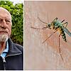 Schnaken-Experte Rainer Bretthauer blickt zurück auf die Schnakensaison 2024.