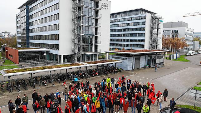 (Archivbild) Anfang November kamen Angestellte und Unterstützer bei einer Kundgebung gegen den geplanten Abbau bei Körber in Konstanz ...