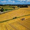 Ernte auf einem Weizenfeld bei Obereschach auf einem Archivbild von 2018: Landwirte, mit denen der SÜDKURIER gesprochen hat, sind sich ...