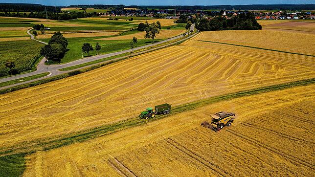 Ernte auf einem Weizenfeld bei Obereschach auf einem Archivbild von 2018: Landwirte, mit denen der SÜDKURIER gesprochen hat, sind sich ...