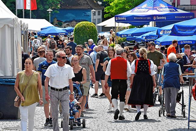 Bild 4: Heißer Auftakt am Samstag beim Donaueschinger Donauquellfest