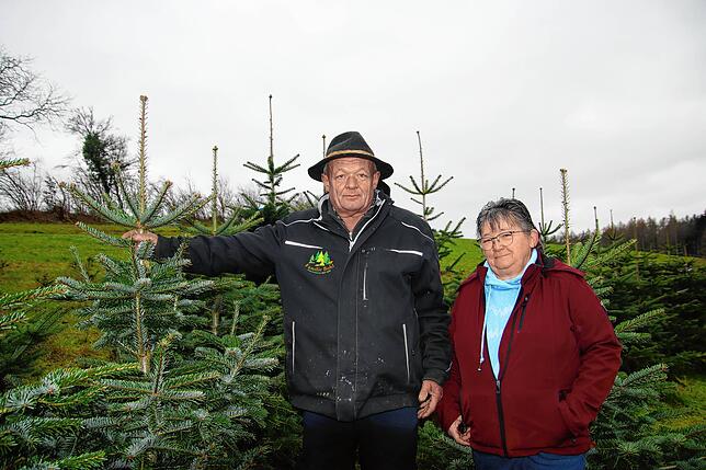 1987 haben Gebhard und Silvia Bohl die ersten Weihnachtsbäume gepflanzt.