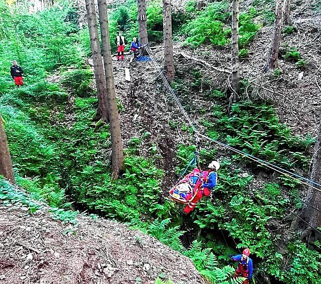 (Archivbild) Die Bergwacht Bad Schandau barg den Jugendlichen aus Konstanz damals aus der Schlucht und trug ihn auf eine Wiese oberhalb ...