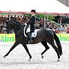 Trotz Corona soll es ein Reitturnier geben &ndash; allerdings nur mit Dressur. Ob Zuschauer zugelassen werden, ist noch offen. Bild: ...