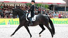 Trotz Corona soll es ein Reitturnier geben &ndash; allerdings nur mit Dressur. Ob Zuschauer zugelassen werden, ist noch offen. Bild: ...
