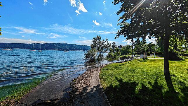 Bild 7: Hochwasser-Bilder von den Uferparks von Bodman-Ludwigshafen