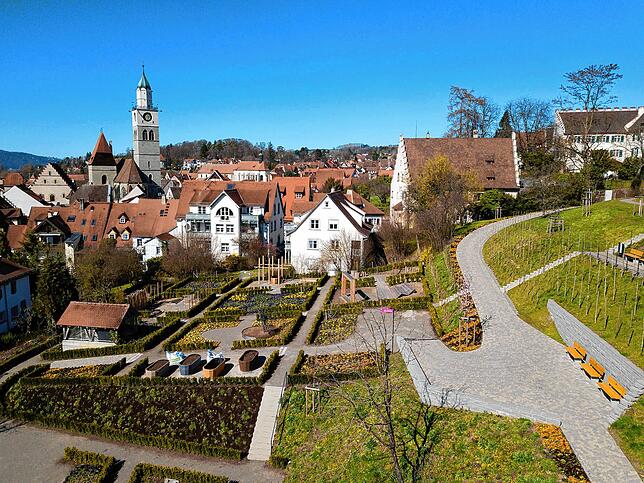 In den Menzinger Gärten sind ganz unterschiedliche kleine Parzellen angelegt: Etwa BodenseeWein, SWR-Faulenzergarten, Hochbeetgarten ...